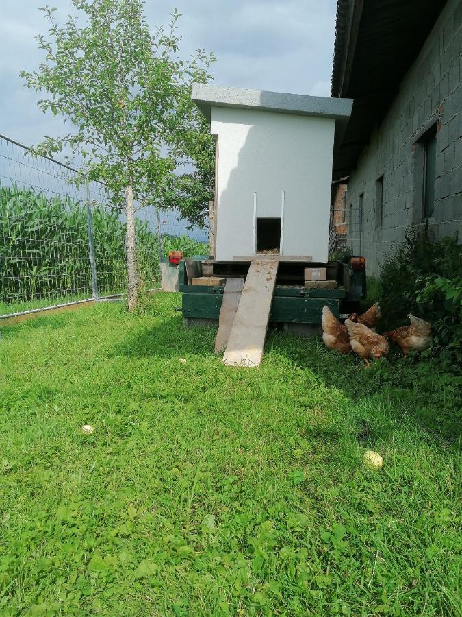 Grafhaidergut - Auszeit Am Land Wartberg an der Krems Exterior foto